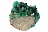 Fluorite Crystal Cluster - Rogerley Mine #132991-2